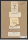 Diatomeae indet. Zeichnungen Sammlung Grunow Nr. 7578 (NHMW-BOT-W0376731)